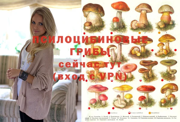 меф Балахна